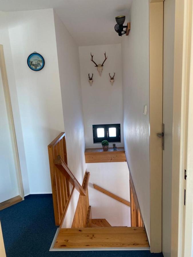 Vila 66 - Cista V Krkonosich Černý Důl Exterior foto